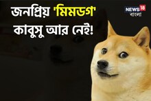 একটি খারাপ খবর, মারণরোগের কামড়ে 'বিশ্বের সবচেয়ে সুখী কুকুর' কাবুসুর মৃত্যু!
