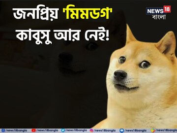 মৃত কাবুসু