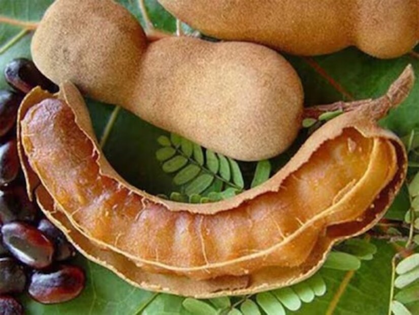 ওজন কমানোর চাবিকাঠি হল পরিপাক ক্রিয়া মসৃণ রাখা। তেঁতুলে আছে ল্যাক্সাটিভ বৈশিষ্ট্য। এর ফলে হজম প্রক্রিয়া সুস্থ থাকে। 