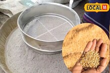 বছরের পর বছর নষ্ট হবে না ঘরে মজুত করে রাখা গম, প্রয়োজন হবে না কোনও রাসায়নিকেরও