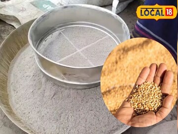 বছরের পর বছর নষ্ট হবে না ঘরে মজুত করে রাখা গম, প্রয়োজন হবে না কোনও রাসায়নিকেরও; শুধু শস্যের বস্তায় মেশাতে হবে এই ছোট্ট জিনিসটি
