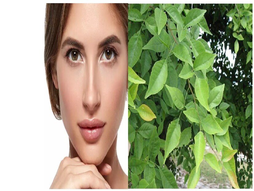 বিউটি এক্সপার্ট সঙ্গীতা গুহ রায় জানান, বেলের পাতা প্রথমে ব্লেন্ডার করে নিন। এরপর সেই বেলের পাতায় হাফ চামচ মধু এক চামচ নিমের পাতা বাটা এই সমস্ত উপকরণ একসঙ্গে ভালোভাবে মিশিয়ে নেবেন এরপর যেখানে ব্রম হয়েছে সেই জায়গায় ভালভাবে অ্যাপ্লাই করুন। Photo- File 