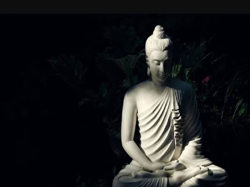 বুদ্ধ পূর্ণিমার দিনে স্নান ও দান করার পাশাপাশি ভগবান বিষ্ণু, মা লক্ষ্মী এবং তুলসীজিরও পুজা করুন। এছাড়াও ভগবান বুদ্ধের উপাসনা করুন। ভগবানকে খাবার অর্পণ করুন। 