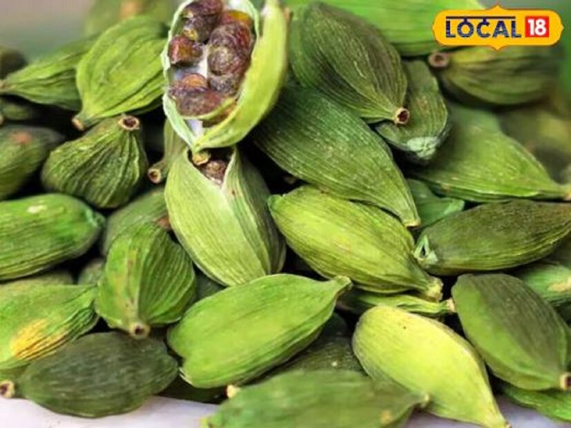 রান্নাঘরের শোভা, শুধু আমাদের দেশ নয়, বিশ্বের নানা দেশেই খুবই বিখ্যাত মশলা, যা এলাচ নামে পরিচিত। এই সুগন্ধি মশলা আমাদের রান্নার একটি অবিচ্ছেদ্য অংশ। এটি রান্নায় সুগন্ধ প্রদানের পাশাপাশি রান্নাকে সুস্বাদু করে তোলে। তবে এর সঙ্গে এলাচ শরীরকেও করে তোলে সুস্থ ও সবল। কেন না, এলাচ নানা ঔষধি গুণে পরিপূর্ণ। এটি গরমে শরীরকে শীতলতাও প্রদান করে।