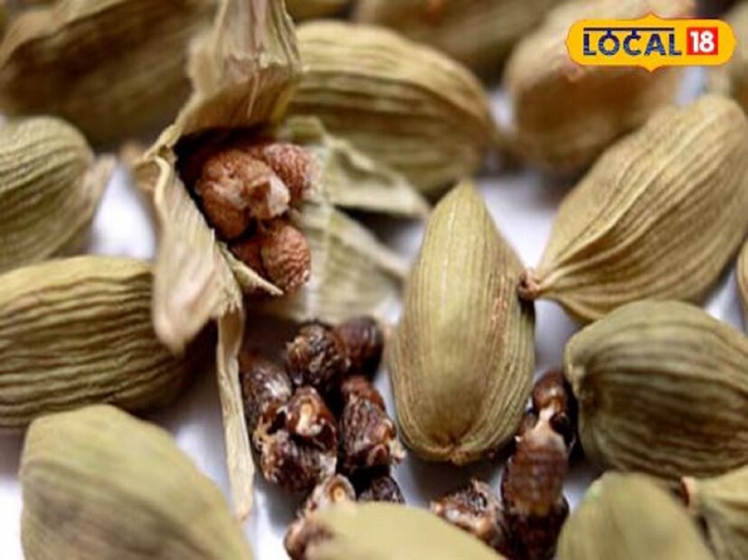 আয়ুর্বেদে এলাচকে অত্যন্ত গুরুত্ব দেওয়া হয়েছে এতে উপস্থিত নানা পুষ্টিকর উপাদানের জন্য। এলাচ ক্যালসিয়াম, পটাসিয়াম, ম্যাগনেসিয়াম, আয়রন, কার্বোহাইড্রেট, ডায়েটারি ফাইবার এবং ফসফরাসের মতো নানা পুষ্টিতে ভরপুর। এই কারণে এলাচ স্বাস্থ্যের জন্য খুবই উপকারী।