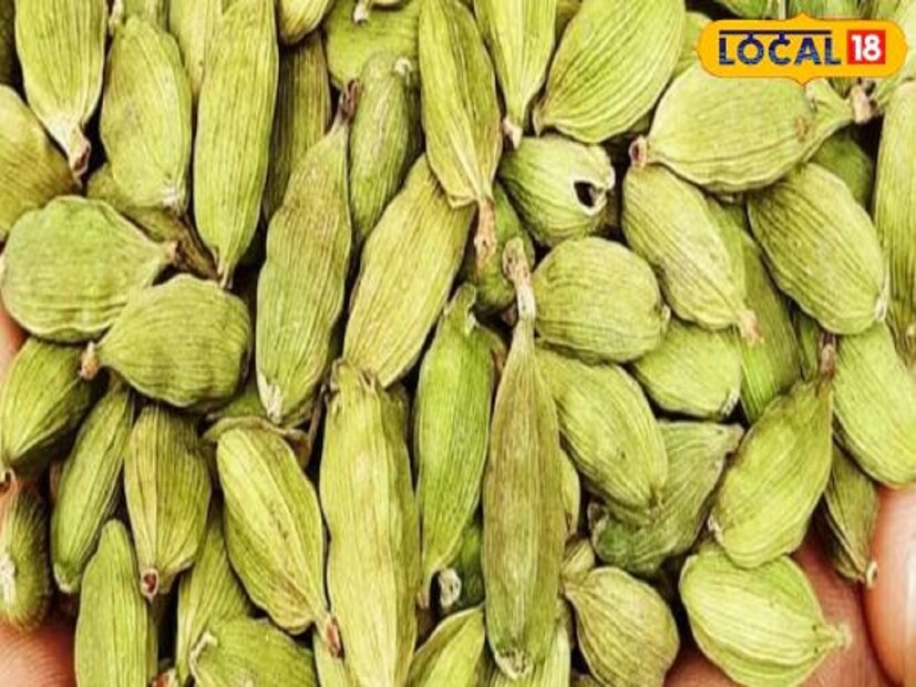 তবে আমাদের এও মনে রাখতে হবে যে, কোনও ওষুধ বা কোনও খাদ্যদ্রব্যের অতিরিক্ত সেবন উপকারের পরিবর্তে ক্ষতিকর প্রমাণিত হতে পারে। কেউ যদি উপরোক্ত রোগ থেকে মুক্তি পেতে এলাচ ব্যবহার করে থাকেন, তবে এটি শুধুমাত্র একজন আয়ুর্বেদ চিকিৎসকের সঙ্গে পরামর্শ করে তবেই ব্যবহার করা উচিত। কারণ শুধুমাত্র একজন বিশেষজ্ঞই বয়স এবং রোগ অনুযায়ী সঠিক পদ্ধতি এবং ডোজ নির্ধারণ করতে পারেন।