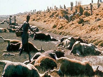 বিশ্বের সবচেয়ে ভয়ঙ্কর ঘূর্ণিঝড়! 'ভোলা' কেড়েছিল ৫ লাখ প্রাণ, ঢেউ উঠেছিল ৩৩ ফুট