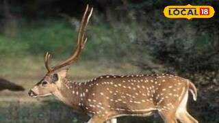 প্রতীকী ছবি