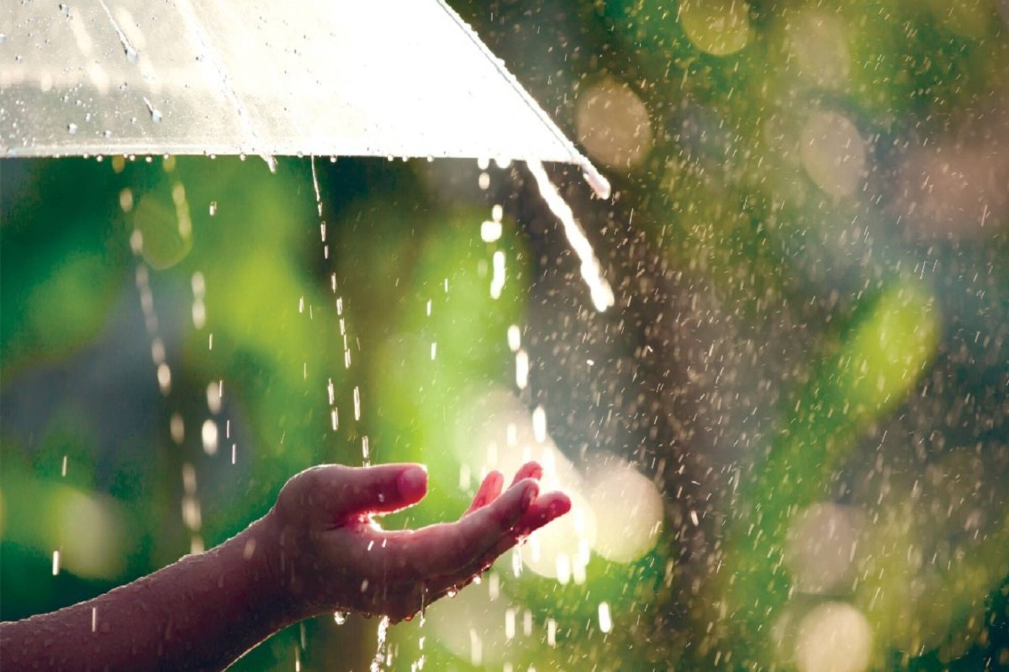 দক্ষিণবঙ্গের ৬ জেলায় বজ্রবিদ্যুৎ-সহ বৃষ্টি! কলকাতাও ভিজবে! কবে থেকে? জানুন