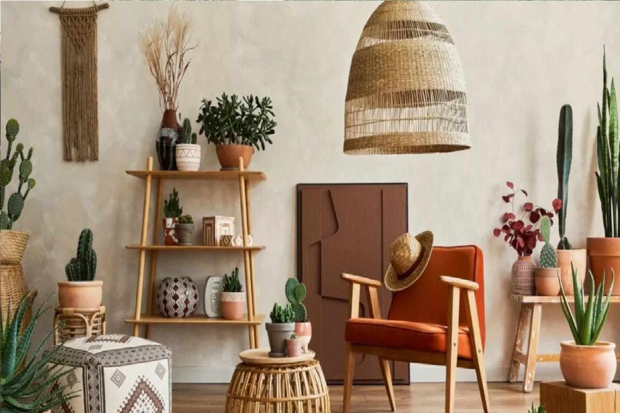 ৫০-৩০০ টাকা খরচ! ৫ স্টার হোটেলের মতো ঝাঁ-চকচকে হবে আপনার বাড়ি-ঘর, রইল দারুণ টিপস