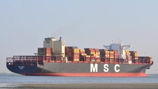 ভারতীয়দের মুক্তি