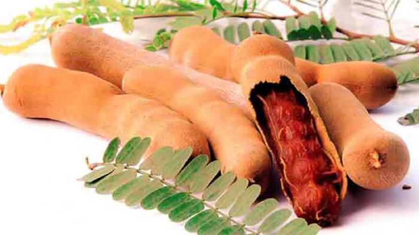 এছাড়াও তেঁতুল গলা ব্যথা বা জয়েন্টের ব্যথা কিংবা সর্দি-কাশি, ফ্লু দূর করতেও সাহায্য করে। তবে তেঁতুলের যেমন উপকারিতা রয়েছে তেমনি এর কিছু ক্ষতিকারক দিক রয়েছে। photo source collected