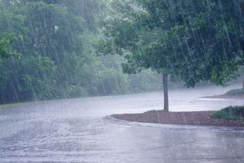 জেলা জুড়ে বেশ কিছুদিন ধরেই চলছে বৃষ্টি। গ্রীষ্মের এই সময় প্রায়ই ঝড় বৃষ্টি হওয়া অস্বাভাবিক কিছু নয়। তবে বৃষ্টি হলেও কাজ তো আর থেমে থাকে না। বৃষ্টির মধ্যে ও বাড়ি থেকে বের হতে হচ্ছে । আবার দেখা যাচ্ছে বৃষ্টির মধ্যেই যত দুর্ঘটনা ঘটতে। (পিয়া গুপ্তা) জেলা জুড়ে বেশ কিছুদিন ধরেই চলছে বৃষ্টি। গ্রীষ্মের এই সময় প্রায়ই ঝড় বৃষ্টি হওয়া অস্বাভাবিক কিছু নয়। তবে বৃষ্টি হলেও কাজ তো আর থেমে থাকে না। বৃষ্টির মধ্যে ও বাড়ি থেকে বের হতে হচ্ছে । আবার দেখা যাচ্ছে বৃষ্টির মধ্যেই যত দুর্ঘটনা ঘটতে। (পিয়া গুপ্তা)