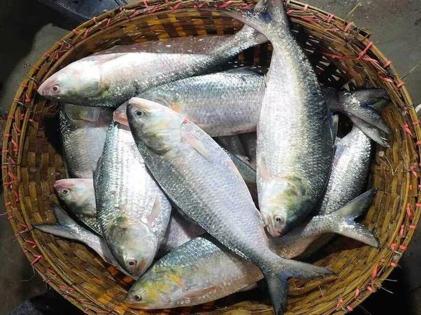 বর্ষাকাল দোরগোড়ায় প্রায়। আর তার আগেই এবার বাজারে ঢুকে পড়েছে বাংলাদেশী ইলিশ। আবহাওয়ার পালাবদলের মধ্যেই রুপোলি শস্য পাতে। গত সপ্তাহের লাগাতার ঝড়-বৃষ্টিতে কিছুটা হলেও স্বস্তিতে বঙ্গবাসী। তার মধ্যে যদি ভাতের সঙ্গে সেই মহার্ঘ্য স্বাদের নাগাল মেলে তাহলে তো সোনায় সোহাগা।