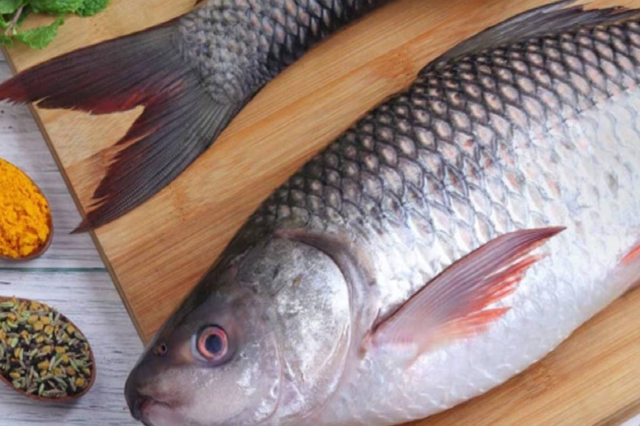 সুস্বাদু তো বটেই, পাতে রোজ পড়ছেও! তবে এই ধরনের মানুষরা ভুলেও ছোঁবেন না রুই মাছ