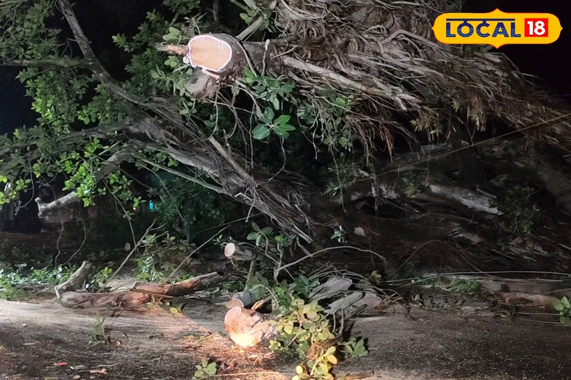 কান্দি বহরমপুর রাজ্য সড়কের ওপর কালবৈশাখী তাণ্ডবের জেরে নাজেহাল হল সাধারণ মানুষ। সেই তাণ্ডবের জেরে কান্দির মহলন্দী এলাকাতে গাছ ভেঙে পড়ে বিপত্তি। ফলে গুরুত্বপূর্ণ কান্দি বহরমপুর রাজ্য সড়ক অবরুদ্ধ হয়ে পড়ে প্রায় দু'ঘণ্টা।