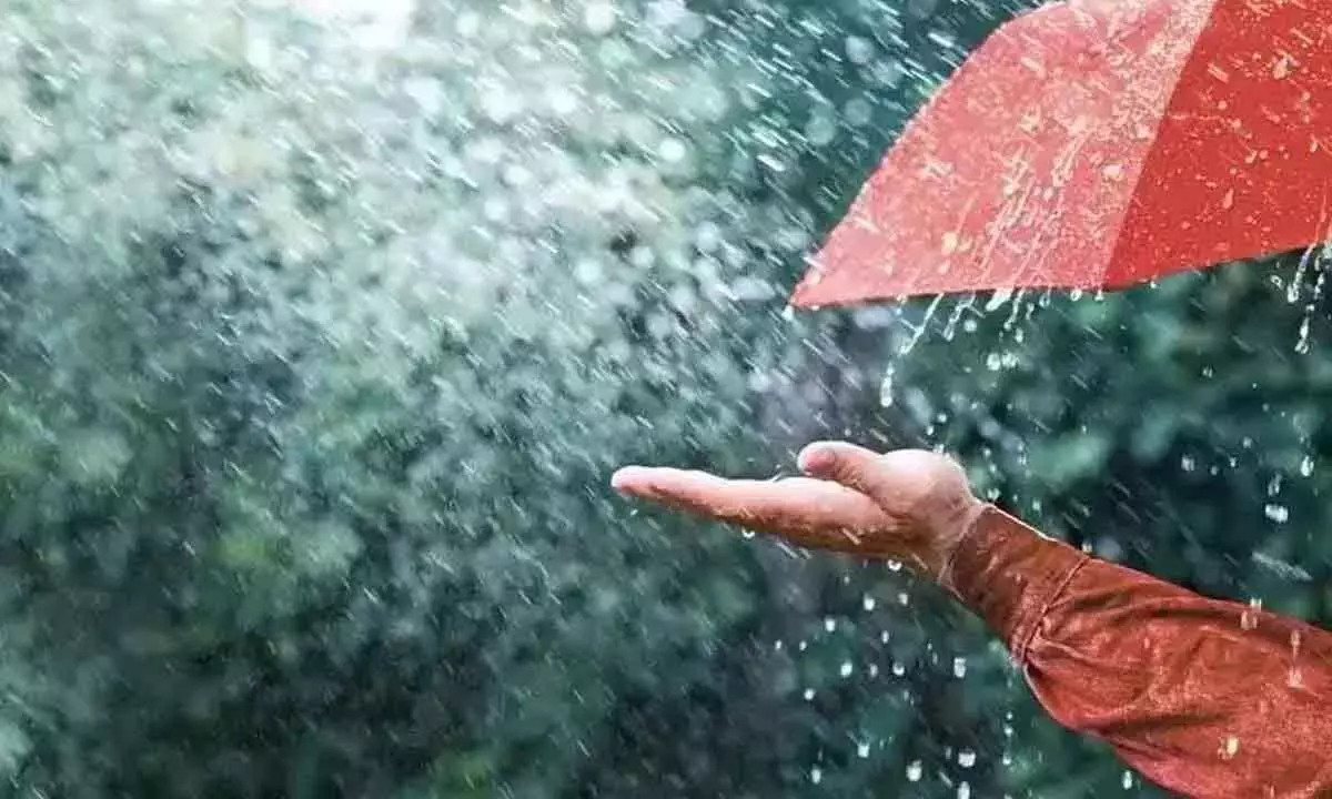 এদিকে কলকাতা সহ দক্ষিণবঙ্গের জেলাগুলিতে ৩০-৪০ কিমি প্রতি ঘণ্টা গতিতে হাওয়া বয়ে যাবে৷ পাশাপাশি বজ্র-বিদ্যুৎ সহ বৃষ্টিপাত জারি থাকবে৷ Photo Courtesy- IMD Bulletine
