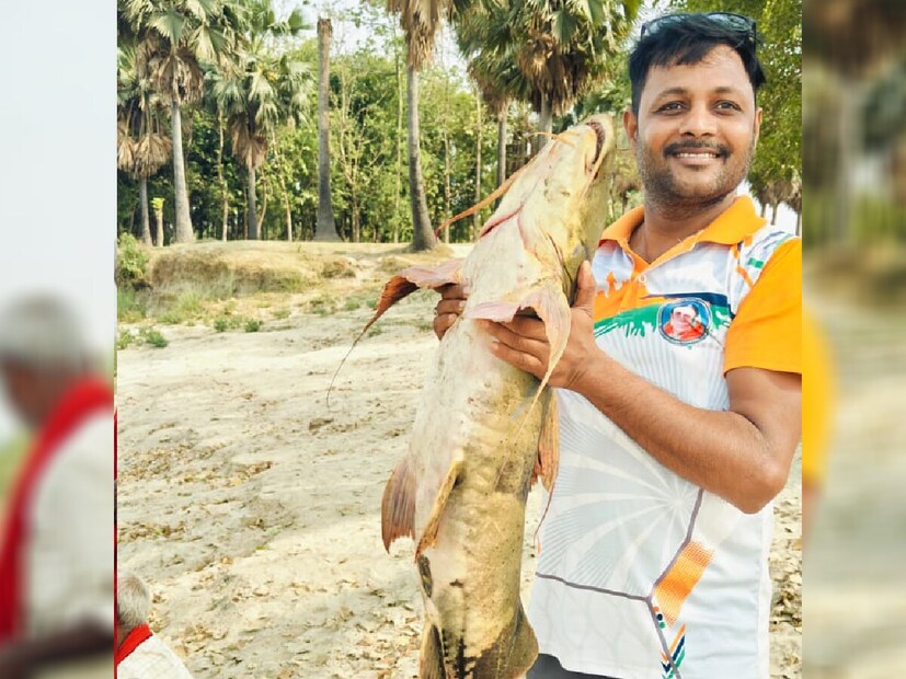 *মাছে রয়েছে বিভিন্ন ধরনের ভিটামিন, মিনারেল ও অন্যান্য নানা পুষ্টিগুণ। মাছ খেলে শরীরে নানা ধরনের পুষ্টির চাহিদা পূরণ হয়।