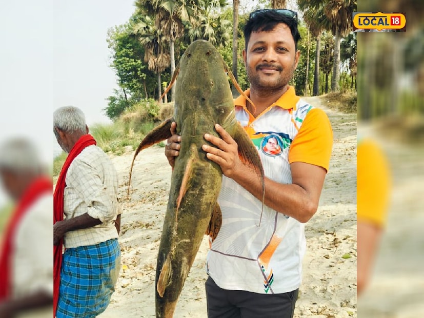 *মাছে কম চর্বি এবং খুব বেশি পরিমাণে প্রোটিন থাকে। ওমেগা-৩ ফ্যাটি অ্যাসিডের উপস্থিতির কারণে মাছ স্বাস্থ্যের জন্যও খুব উপকারি। 