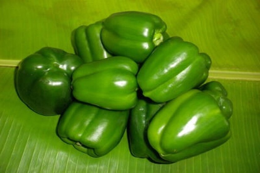ক্যাপসিকাম:ক্যাপসিকামে সোলানিন নামে একটি যৌগ পাওয়া যায়, যা বাতের রোগীদের জন্য ক্ষতিকর হতে পারে। অতএব, এর ব্যবহারও সীমিত হওয়া উচিত।