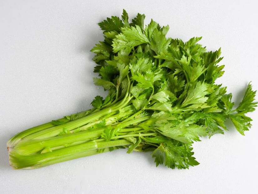 সেলারিসেলারি বীজ ইউরিক অ্যাসিড কমাতেও ব্যবহার করা যেতে পারে। এগুলো শরীরে জ্বালাপোড়া ও ফোলাভাব কমাতে সহায়ক। সেলারিতে ভিটামিন সি, ক্যালসিয়াম এবং আয়রনের মতো পুষ্টি উপাদান রয়েছে যা শরীরের স্বাস্থ্যের জন্য উপকারী। গরম জল সঙ্গে সেলারি খেলে পেট পরিষ্কার হয় এবং শরীর থেকে অতিরিক্ত টক্সিন বের হয়ে যায়। (Disclaimer: এই প্রতিবেদনটি কেবলমাত্র সাধারণ তথ্যের জন্য, তাই বিস্তারিত জানতে হলে সর্বদা বিশেষজ্ঞের পরামর্শ নিন)
