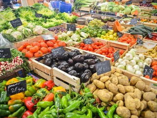 Vegetable Price Hike: দেখলেই নাক সিঁটকান, পাতে পড়ে থাকে এক কোণে, আজ সেই করলার কত দাম উঠল জানেন? কিনতে গিয়েই বড় ছ্যাঁকা মধ্যবিত্তের