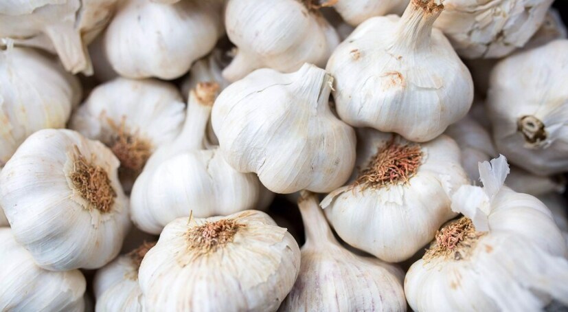 আয়ুর্বেদিক চিকিৎসক অঙ্কিত আগরওয়াল জানান যে, রসুনে প্রদাহ-বিরোধী গুণ রয়েছে, যা মহিলাদের PCOD সমস্যা নিরাময়ে সহায়ক হতে পারে। এতে পাওয়া ইমিউনোমডুলেটরি বৈশিষ্ট্যগুলি PCOD ভারসাম্য বজায় রাখতে সহায়ক।