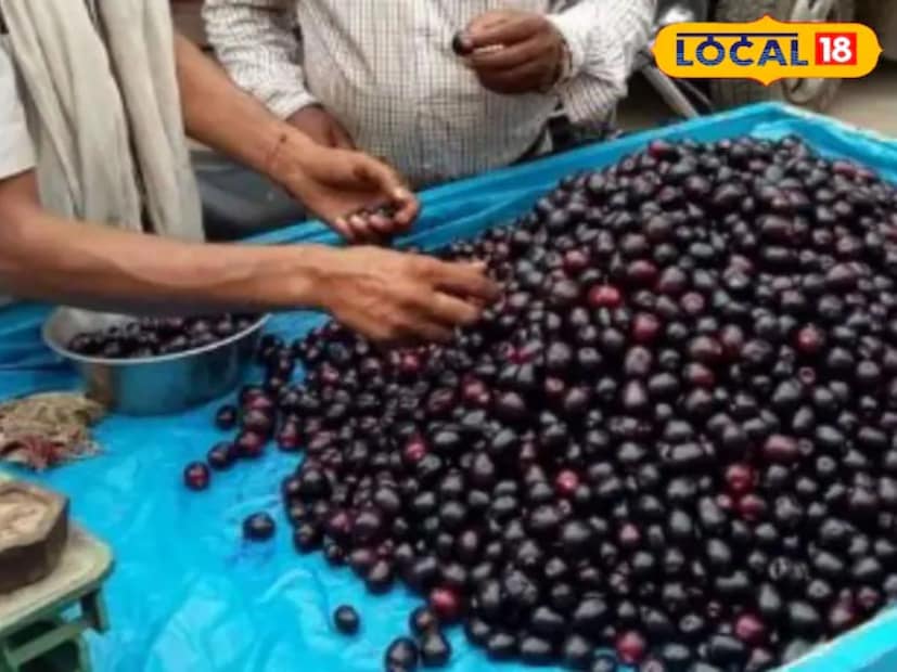 তিনি জানালেন, কালোজাম ব্রণ, ত্বক ও চোখের সমস্যা, ছানি, কানের রোগ, দাঁতের ব্যথা, মুখের ঘা, বমি ও ডায়রিয়া, পাইলস, লিভারের রোগ, জন্ডিস, ডায়াবেটিস, দাদ, বাত, ক্ষত এবং পিত্তজনিত রোগ যেমন নাক ও কানে বা অন্যান্য অঙ্গ থেকে রক্তপাতের সমস্যার মতো অনেক গুরুতর রোগকেও দূরে রাখতে পারে। শুধু তাই নয়। এর আরও অনেক গুণ রয়েছে। 