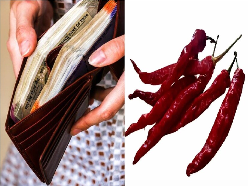 এছাড়াও যদি কোনও ব্যক্তি কর্মে অনেক দিন ধরে আশানুরূপ ফল পাচ্ছেন না, তাঁরা একটি পাত্রে জল ভরে তাতে ২১টি শুকনো লঙ্কার বীজ দিয়ে রাতে মাথার চারপাশে সাত বার ঘুরিয়ে জলটি বাইরে ফেলে দিন। দেখবেন কিছু দিনের মধ্যেই কর্মে সাফল্য আসবে। Photo - Representative