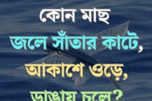 বলুন তো কোন মাছ জলে সাঁতার কাটে, আকাশে ওড়ে, আবার ডাঙায় চলাফেরা করে?