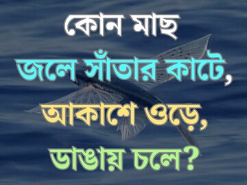 বলুন তো কোন মাছ জলে সাঁতার কাটে, আকাশে ওড়ে, আবার ডাঙায় চলাফেরা করে?
