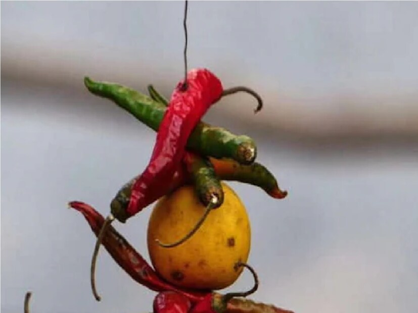 বাড়ি থেকে নেগেটিভ এনার্জি দূর করতে বাড়ির প্রধান দরজার উপরে শুকনো লঙ্কা ও লেবু ঝুলিয়ে রাখলে সেই বাড়িতে কোনও প্রকার নেগেটিভ এনার্জি প্রবেশ করতে পারে না এবং সেই বাড়ির ওপর কারও কুনজর পড়ে না। Photo - Representative