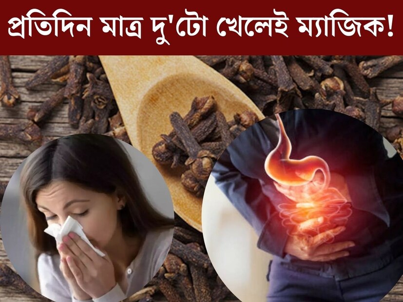 রান্নাঘরে থাকা বেশ কিছু মশলাই হয়ে উঠতে পারে বিভিন্ন রোগের বিরুদ্ধে অস্ত্র। প্রতিদিন ব‍্যবহৃত এমনই কিছু মশলার গুণাগুণ জানলে আশ্চর্য হয়ে যেতে হয়।