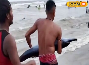 দিঘার সমুদ্রে এই জ্যান্ত প্রাণী! ব্যাপক চাঞ্চল্য ছড়াল সমুদ্র সৈকতে, তারপর...