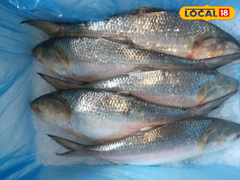 মঙ্গলবার দিঘার মোহনার মৎস্য বাজার ঘুরে ব্যবসায়ীদের থেকে ইলিশের দাম নিয়ে যা জানা গিয়েছে  তাতে ওজনের ওপর নির্ভর করছে দাম।