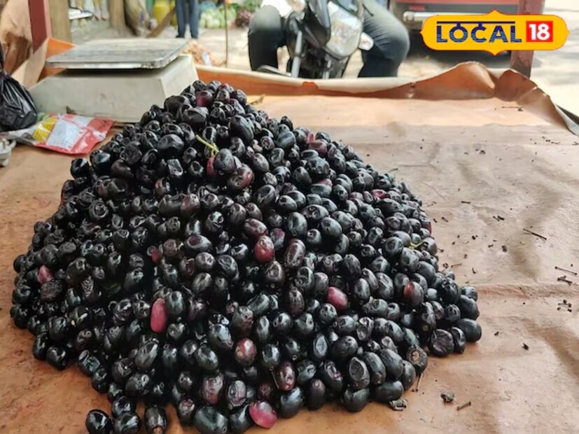 কালোজামে প্রচুর পরিমাণে ক্যালসিয়াম, আয়রন, ম্যাগনেসিয়াম, ফসফরাসের মতো পুষ্টি উপাদান রয়েছে। এছাড়া ভিটামিন ও ফাইবারও প্রচুর পরিমাণে পাওয়া যায়। এতে প্রচুর পরিমাণে অ্যান্টি-অক্সিডেন্ট রয়েছে।