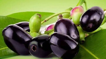 চুটকিতে ছু-মন্তর হবে ডায়বেটিস...! লিভার হবে তরতাজা, ছোট্ট কালো ফল সব রোগের যম