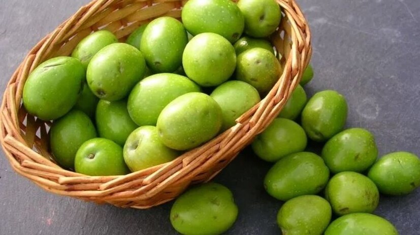 এই ফলে থাকা উচ্চমাত্রার ভিটামিন ‘সি’ ও ‘এ’চোখের বিভিন্ন রোগকে দূরে রাখতে সহায়তা করে। এছাড়া ত্বক, চুল, দাঁত, হাড়কে রাখে মজবুত।নিয়মিত জলপাই খেলে গলব্লাডার বা পিত্তথলিতে পাথর, বাতের ব্যথা কমে যায়।জলপাইয়ে প্রাকৃতিক অ্যান্টি-অক্সিডেন্টও রয়েছে প্রচুর পরিমাণে, যা দেহের ক্যানসারের জীবাণুকে ধ্বংস করে এবং রোগ প্রতিরোধ শক্তিকে বাড়ায় দ্বিগুণ পরিমাণে।