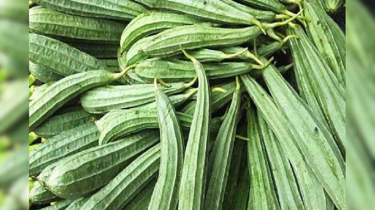 Ridge Gourd Benefits: ভাল থাকবে লিভার! পাতে রাখুন বহু জটিল রোগের ওষুধ ...