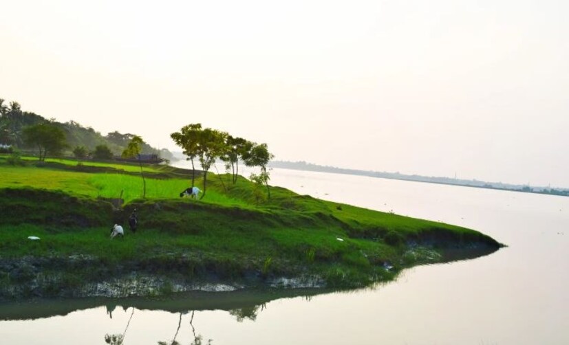 এখানে গোলপাতা গাছ, সুন্দরী গাছ ও নানা ম্যানগ্রোভে ভরা এই জঙ্গল উত্তর ২৪ পরগনার জেলার টাকীতে অবস্থিত। ইছামতী নদীর তীরে এই জঙ্গল আর তার ওপাশেই বাংলাদেশ। গোলপাতা জঙ্গল জনপ্রিয় বড় বড় গাছের ছাউনির জন্য যার মধ্যে দিয়ে সূর্যের রশ্মি উঁকি দেয়। জনপ্রিয় মিনি সুন্দরবনের মত ঘন জঙ্গল পথ এই জঙ্গল। জঙ্গল পথ দিয়ে যেতে যেতে আপনি টাকি নদীর তীরে পৌছে যাবেন যেখানে আপনি ওপার বাংলার মাঠ, জমি অনেক কাছ থেকেই দেখতে পাবেন।