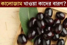 মুঠো মুঠো খাচ্ছেন কালোজাম! কাদের একেবারে বারণ? খাওয়ার পর এই ভুল করবেন না