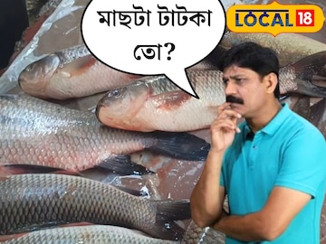 মাছটা টাটকা তো?...খরচ করে বাসি মাছ নিয়ে বাড়ি ফেরেন? ৫ টিপস্ মনে রাখুন মাছটা টাটকা তো?...খরচ করে বাসি মাছ নিয়ে বাড়ি ফেরেন? ৫ টিপস্ মনে রাখুন