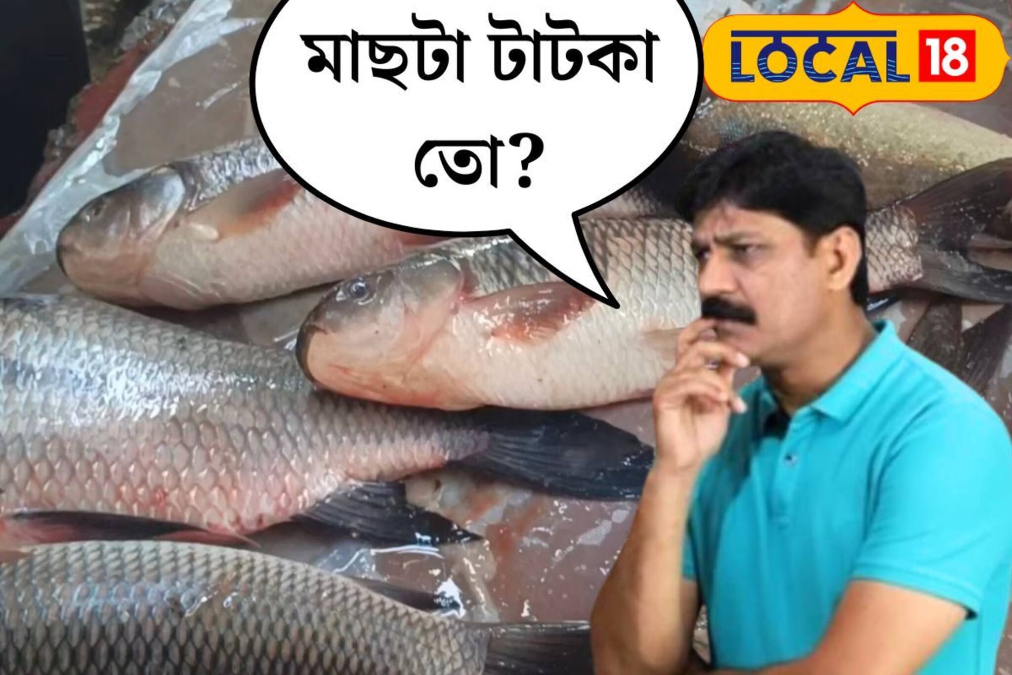 মাছটা টাটকা তো?...খরচ করে বাসি মাছ নিয়ে বাড়ি ফেরেন? ৫ টিপস্ মনে রাখুন