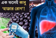 এক ফলেই কাবু ‘হাজার রোগ’! লিভারের সমস‍্যা থেকে ডায়াবেটিস, ধারে কাছে ঘেঁষবে না