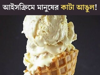 ‘বাদাম ভেবে কামড় দিতেই...’ অনলাইনে অর্ডার করা আইসক্রিমে মানুষের কাটা আঙুল! পুরো ঘটনা জানলে শিউরে উঠবেন