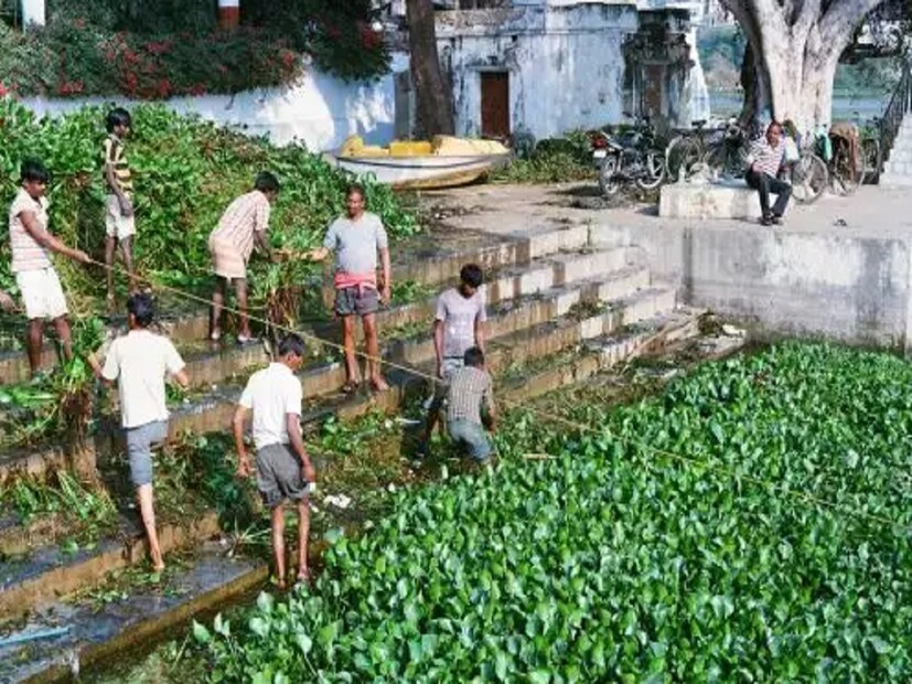 এছাড়াও যাঁদের চুল পড়া বা খুসকির মতো চুলের নানা সমস্যা থাকে, তাঁরা মাথায় ওয়াটার হায়াসিন্থের রস বা নির্যাস লাগালে তা চুলের বৃদ্ধিতে সাহায্য করে। এছাড়াও এটি চুল ভেঙে যাওয়া রোধ করে এবং মাথার ত্বকের স্বাস্থ্য ভাল করতেও সমান উপকারী।