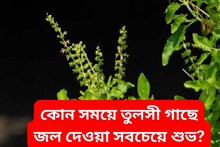 দিনের মধ্যে এই সময় জল অর্পণ করা সবচেয়ে শুভ! বাড়ে মান, সংসারে আসে ধন সম্পত্তি