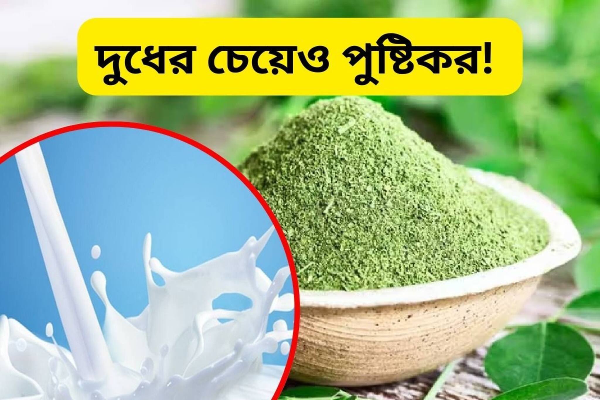 দুধের চেয়ে কয়েক গুণ বেশি পুষ্টিকর! রোজের রান্নায় মেশান ১ চামচ এই পাউডার...