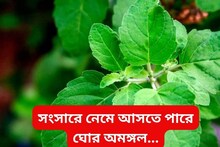 তুলসী পাতা তোলার সময় এই কাজ করলেই ভয়ঙ্কর ক্ষতি! সংসারে নেমে আসবে ঘোর অমঙ্গল...