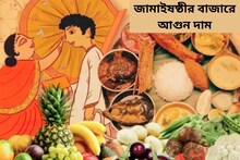 ভাল ইলিশ কোথায়? মাছ-মাংস-ফল-সবজির আগুন দাম, কী খাওয়াবেন জামাইকে? বাড়ছে চিন্তা